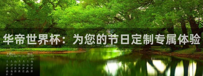 世界杯欧洲区预选赛:华帝世界杯:为您的节日定制专属体验