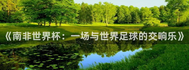 足球世界杯预选赛:《南非世界杯:一场与世界足球的交响乐》
