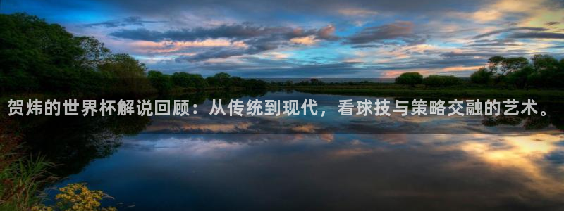 世界杯直播:贺炜的世界杯解说回顾:从传统到现代,看球技与策略交融的艺术。