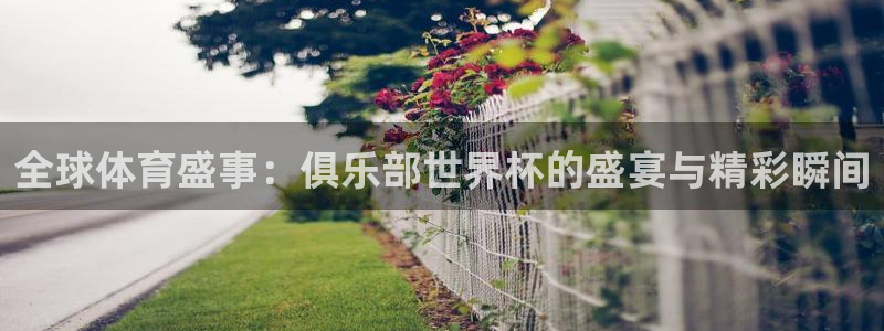 2026足球世界杯:全球体育盛事:俱乐部世界杯的盛宴与精彩瞬间